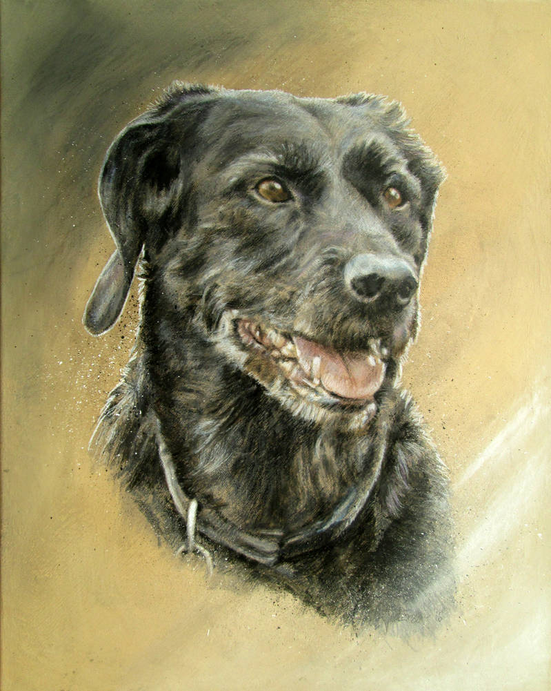 Black Lab Deviantart Black Labrador by ownlifeworks on DeviantArt