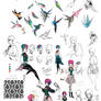 Hummingbird Sketches