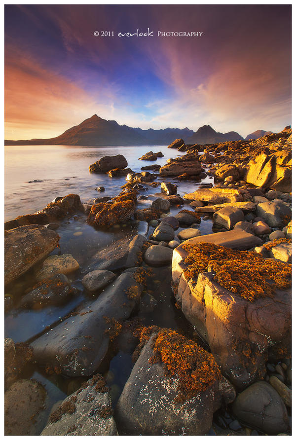 Shores of Elgol