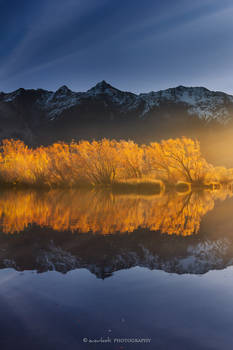 Golden Lagoon