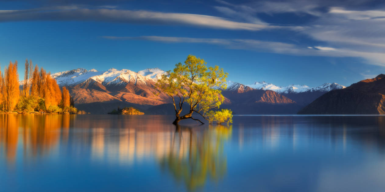 Blue and Gold by Dee-T Blue and Gold by Dee-T