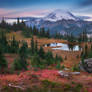 Rainier fall