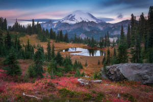 Rainier fall