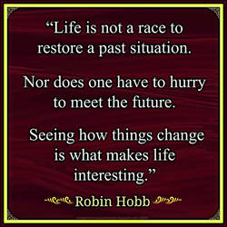 Robin Hobb Quote
