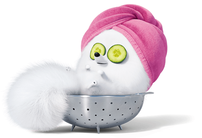 The Secret Life Of Pets 2 Gidget by GruYDruAmarillo on DeviantArt