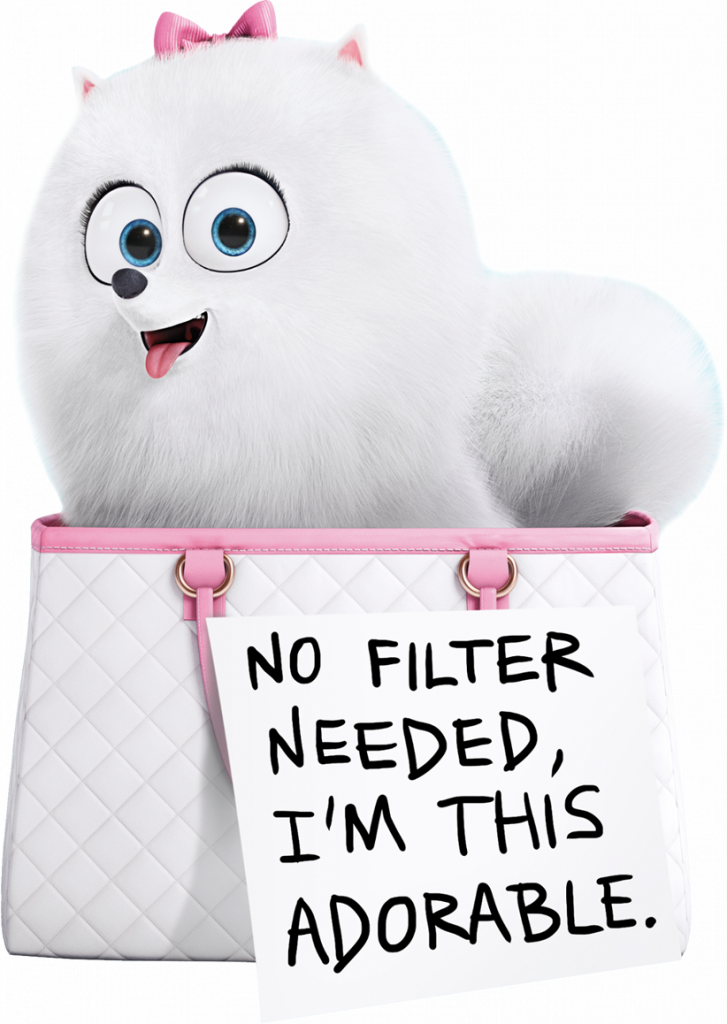 The Secret Life Of Pets Gidget by GruYDruAmarillo on DeviantArt
