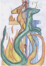 Water and Fire dragons