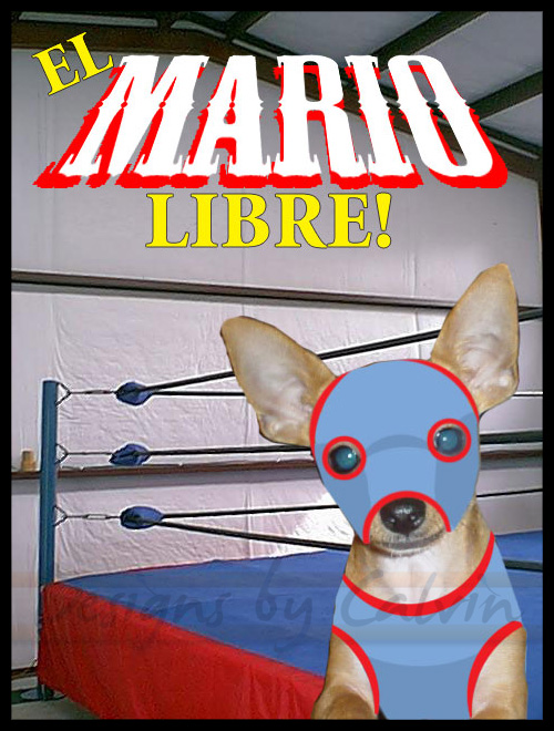 El Mario Libre