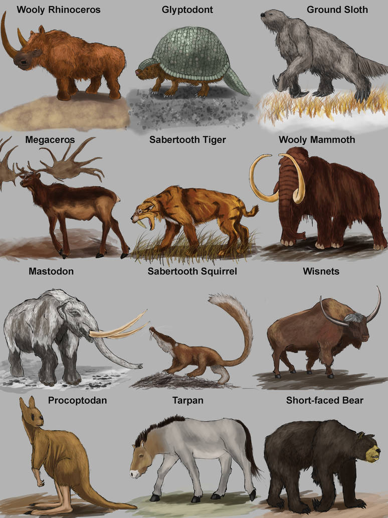 Название древнего животного. Доисторические животные. Животные в древности. Название древних животных. Доисторические животные с названиями.