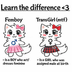 PSA on Transgirl Presentation