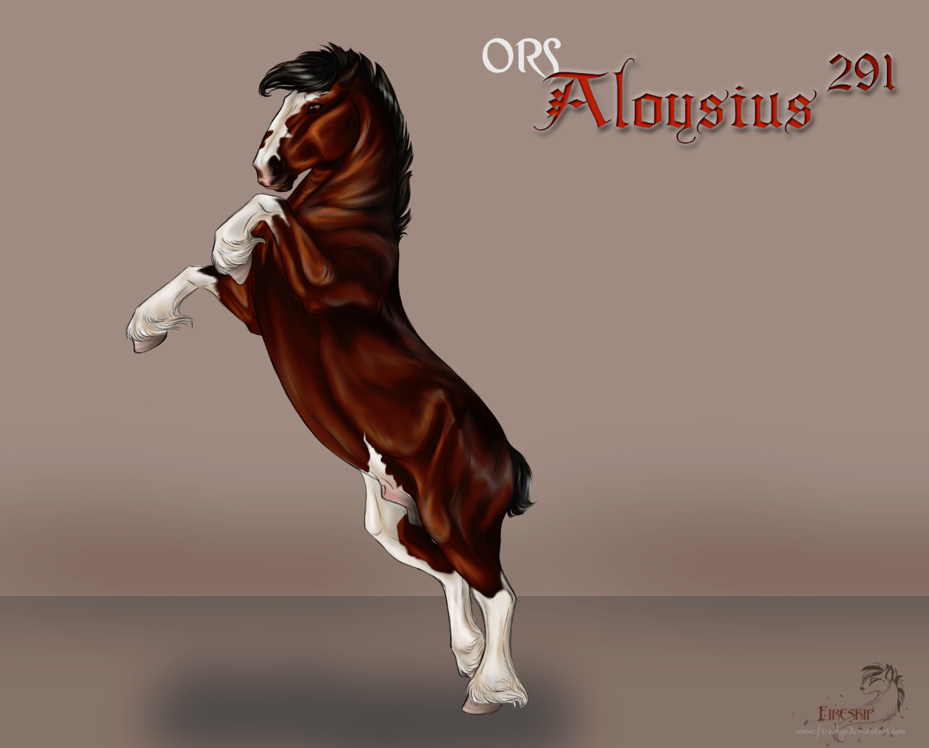 ORS Aloysius 291