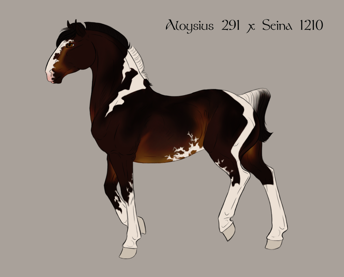 Aloysius Foal #1327