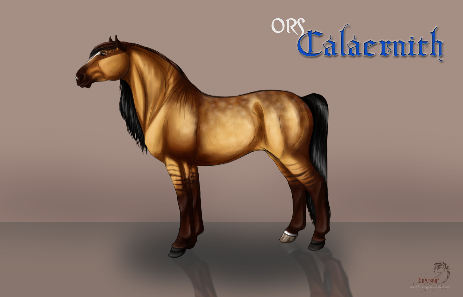 ORS Calaernith A.T. 6