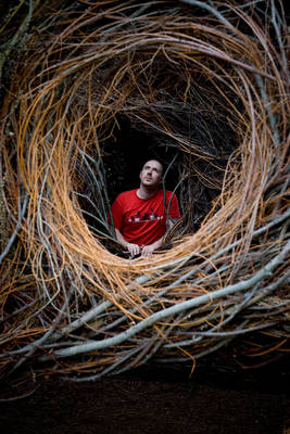 Bird's Nest Portal