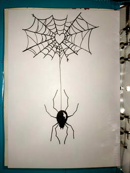 Day 2 - Spider