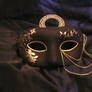 The Mask for Lady Delphinia