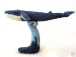 Blue Whale by LisaColom