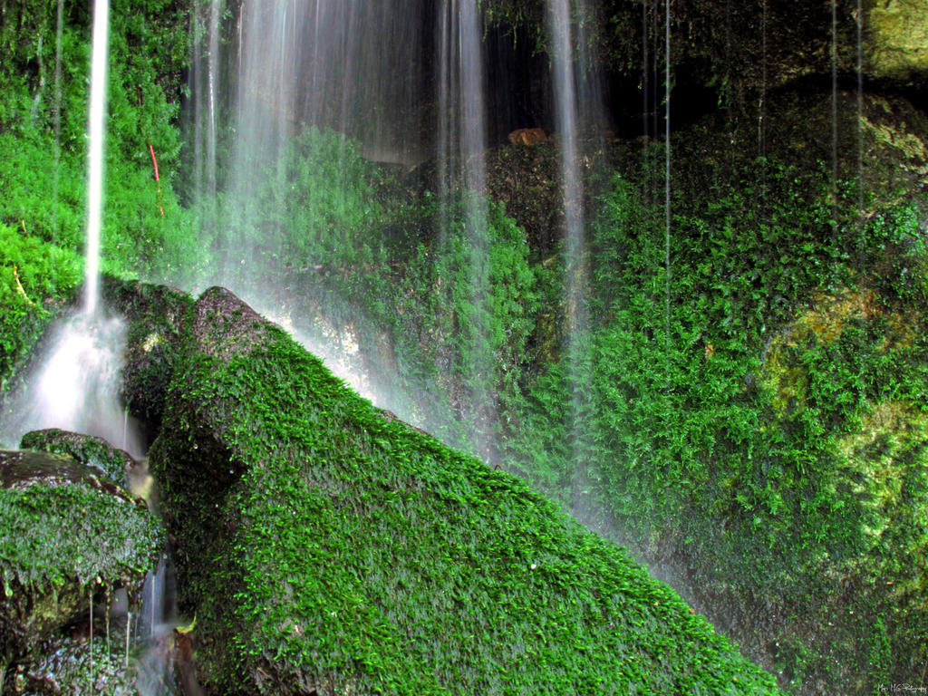 Ferguson Falls