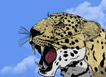 Leopard by phenomenom9