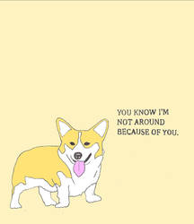 Corgi