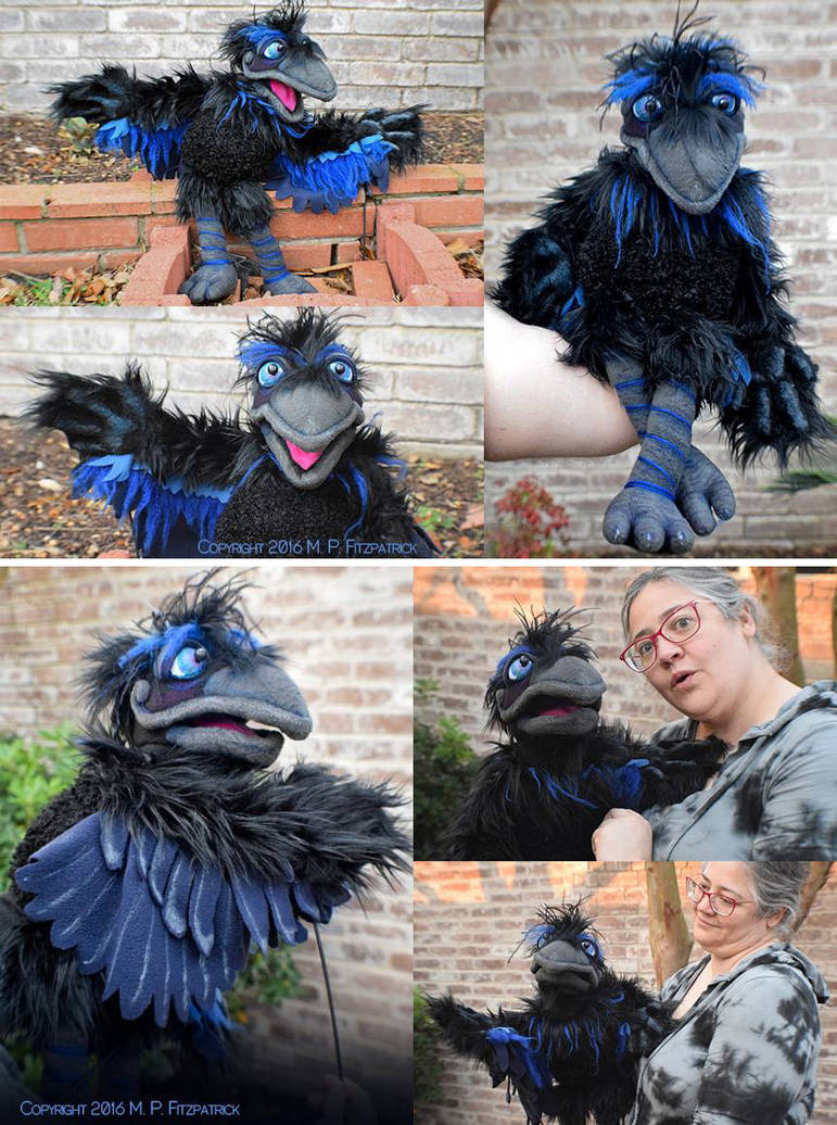 Remey Raven puppet by MPFitzpatrick on DeviantArt