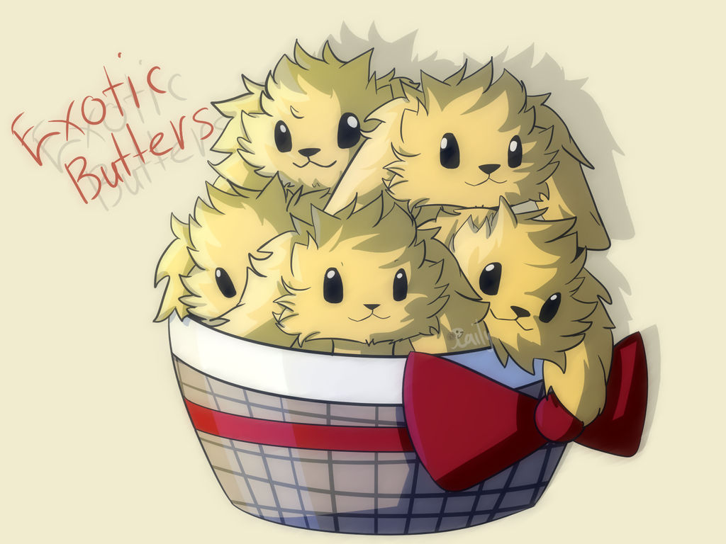 Exotic Butters Wallpaper Exotic Butters Wallpaper