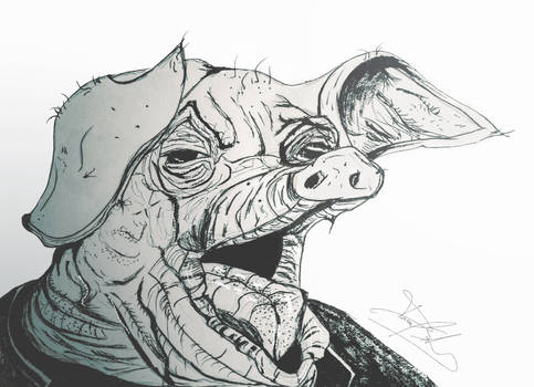 Pig Sketch