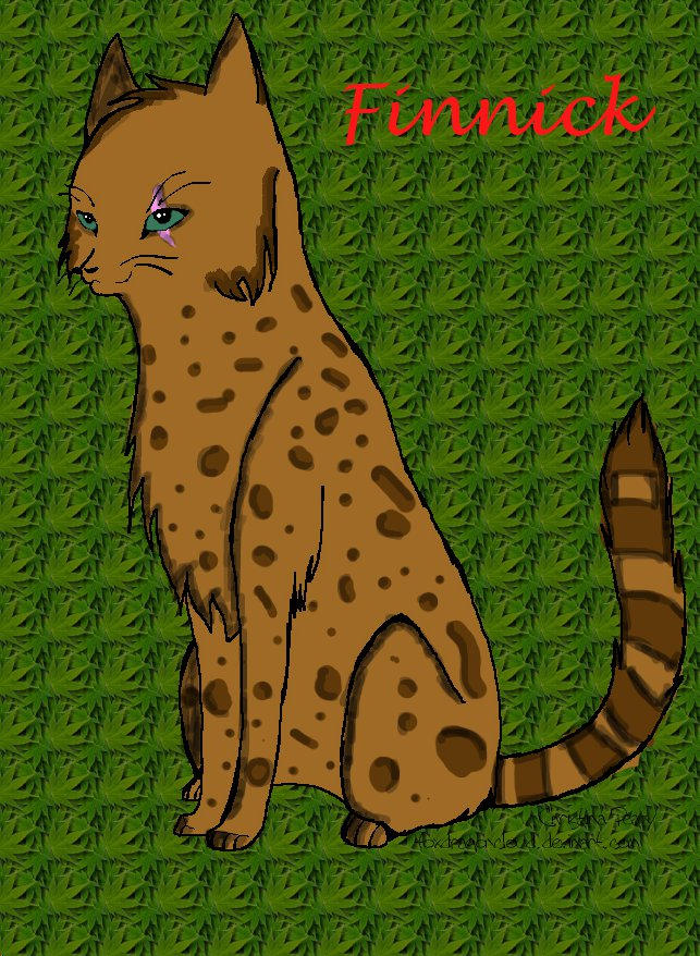 Finnick Commission by Shporkness on DeviantArt