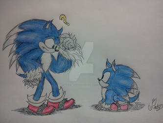 Sonic Y Sonic Clasico-werehogs