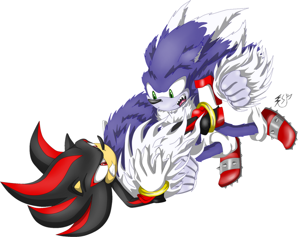 Sonic-werehog-vs-shadow-2-123