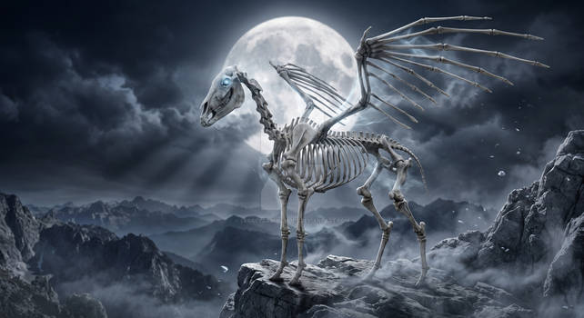 Skeletal Pegasus