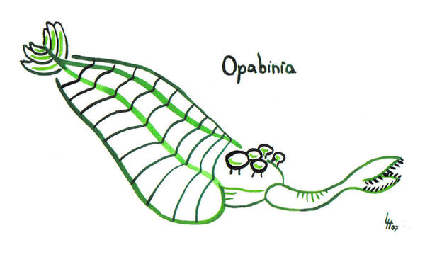 Opabinia