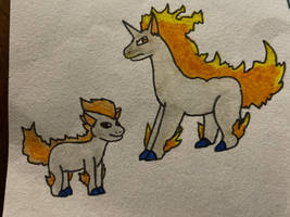 Ponyta and Rapidash 