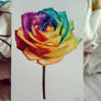 Rainbow rose 