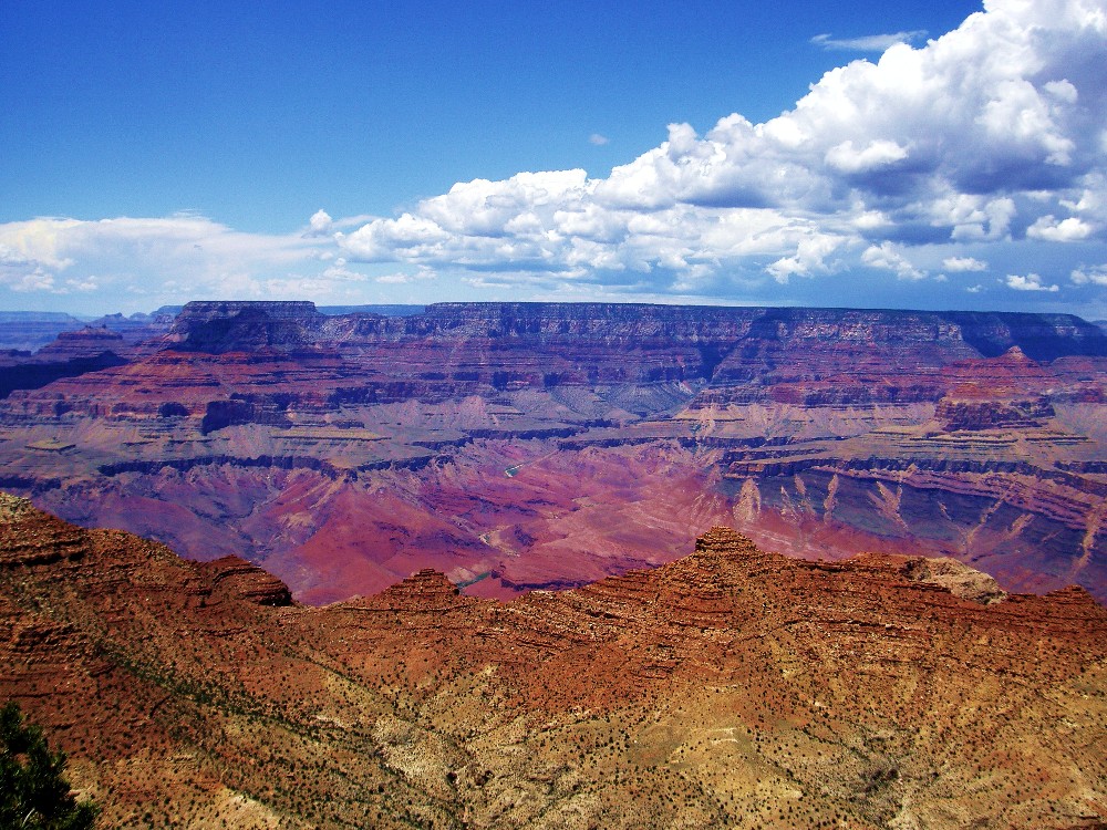 Grand Canyon View 1