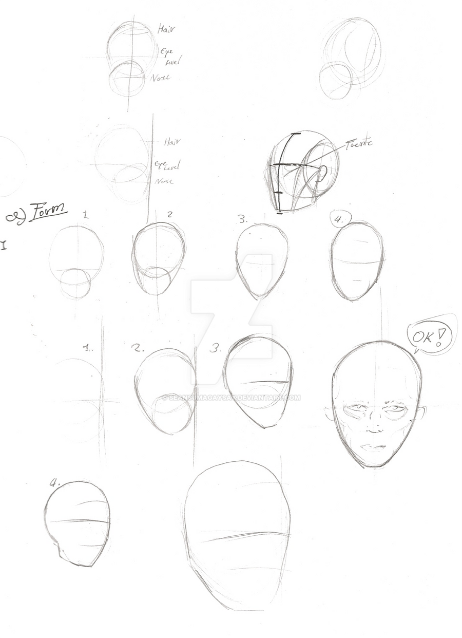 Human Anatomy: Head Study 1