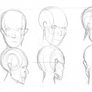 Human Anatomy: Head Study 3