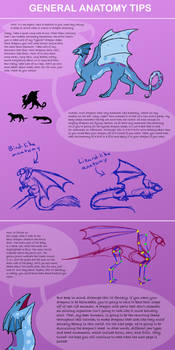 Dragon Tutorial Basic Anatomy