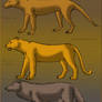 Thylacine vs. Leopard and Wolf