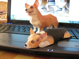 another Corgi papercraft,photo