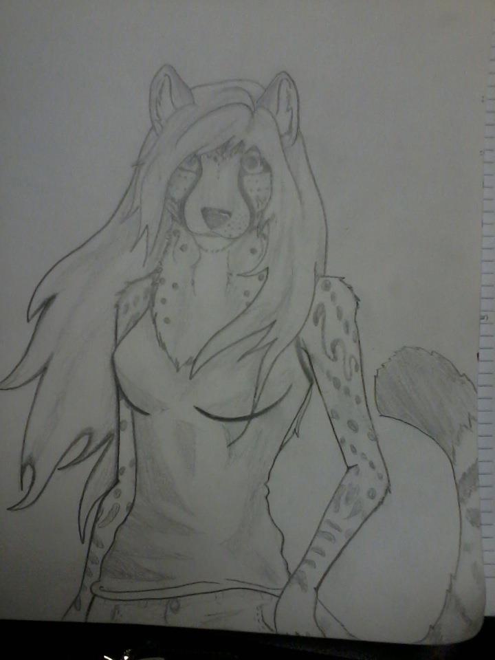 Cheetah Commish