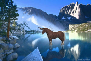 horn horse lake HD wallpaper