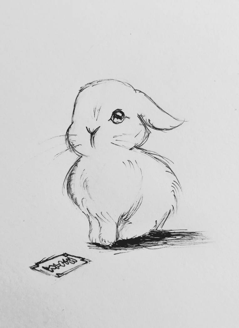 Bunny and razor by Chocolulu on DeviantArt