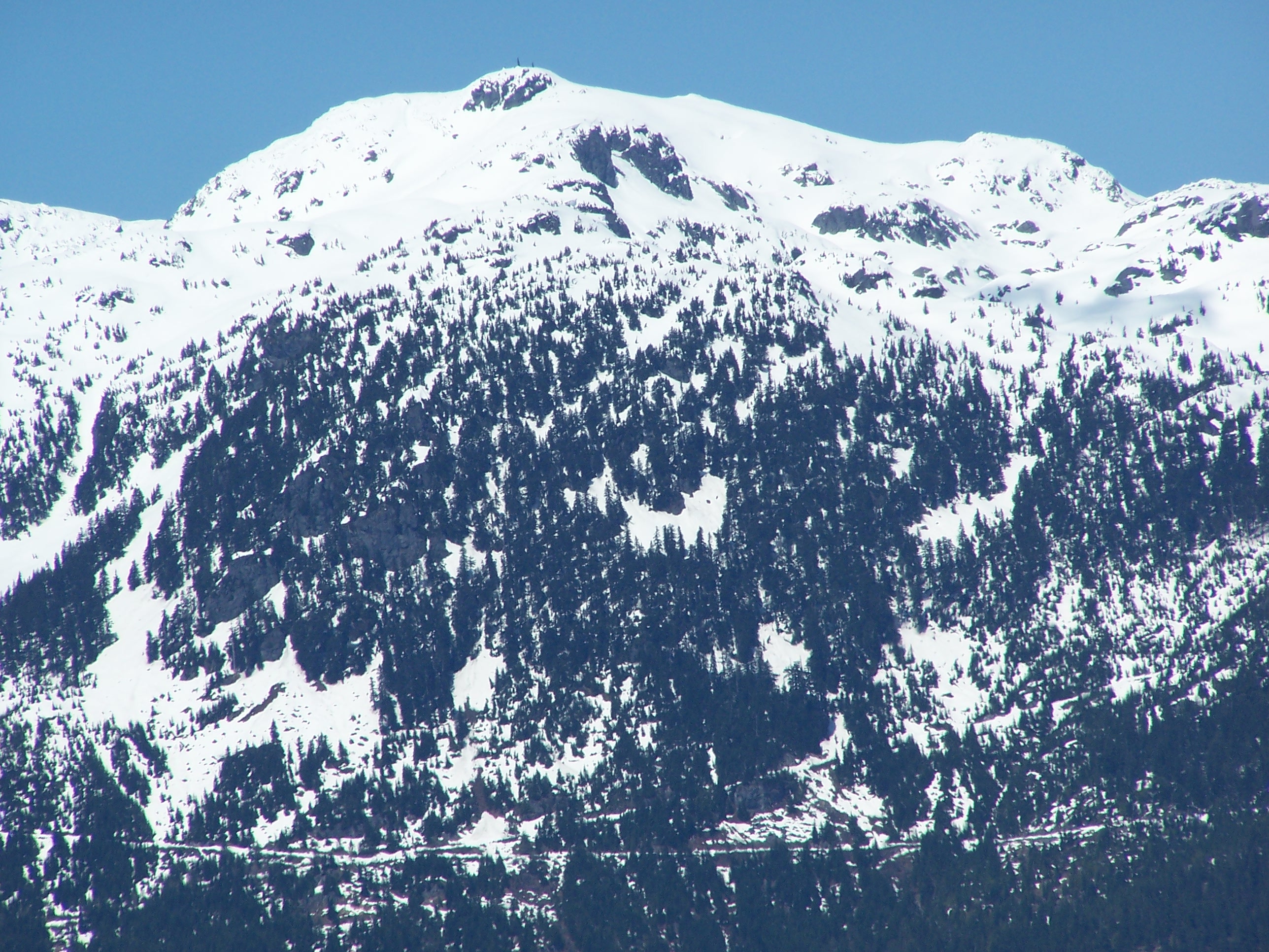 Whistler surrounding mountains