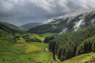 Sally Gap by Wanowicz