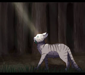 Jayfeather