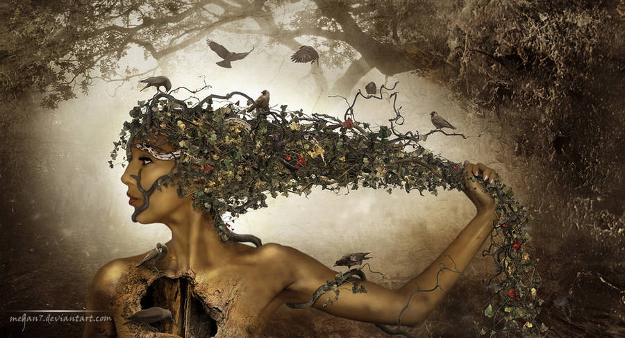 Dryad by Megan-Arts Dryad by Megan-Arts