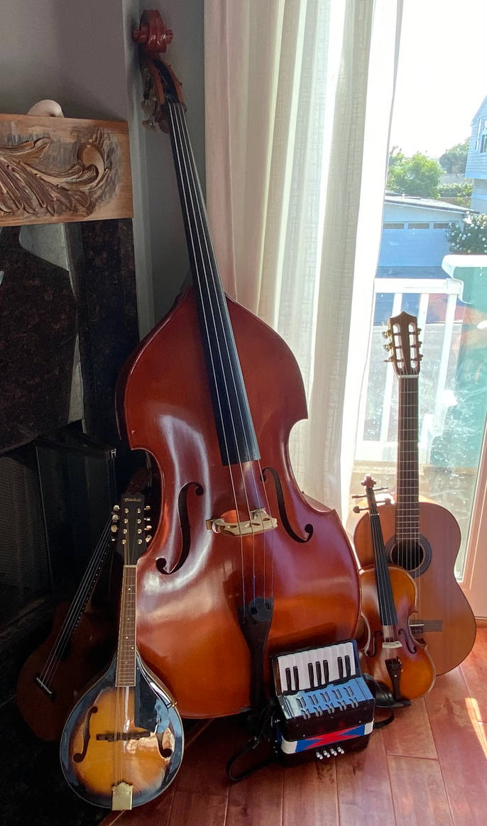 My Musical Instruments by Professor1222 on DeviantArt