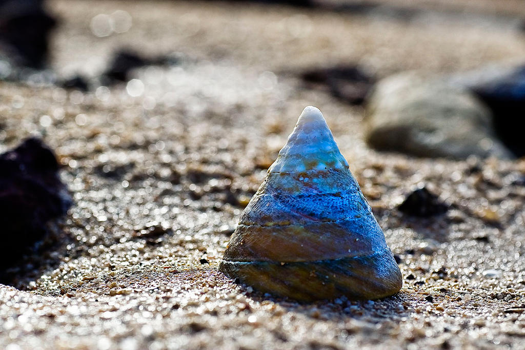 Pyramid Shell by riscy on DeviantArt