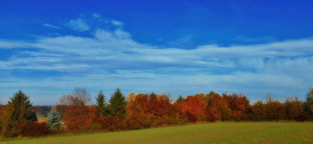 Sunny autumn in the village